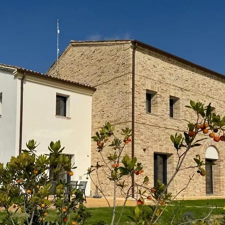 Il Morino Filottrano